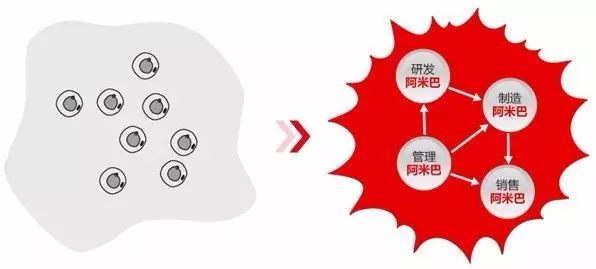 阿米巴.jpg 阿米巴.jpg